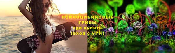 мяу мяу мука Майский