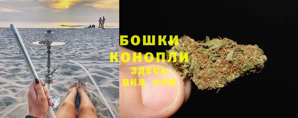 тгк Лиски