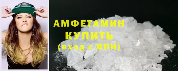 гидра Липки