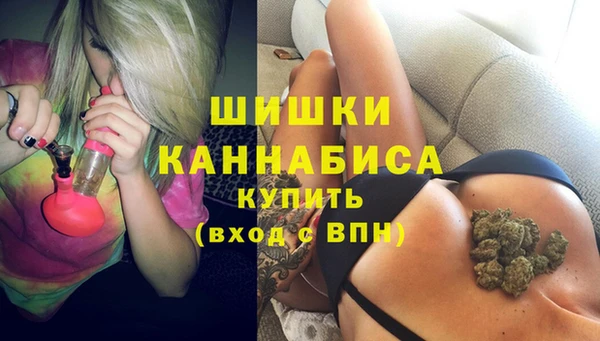 дживик Магас