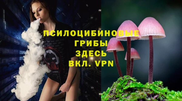 тгк Лиски