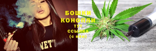 гидра Липки