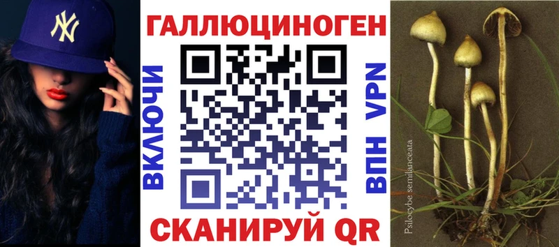 Псилоцибиновые грибы Psilocybine cubensis  kraken рабочий сайт  Печора  наркотики 