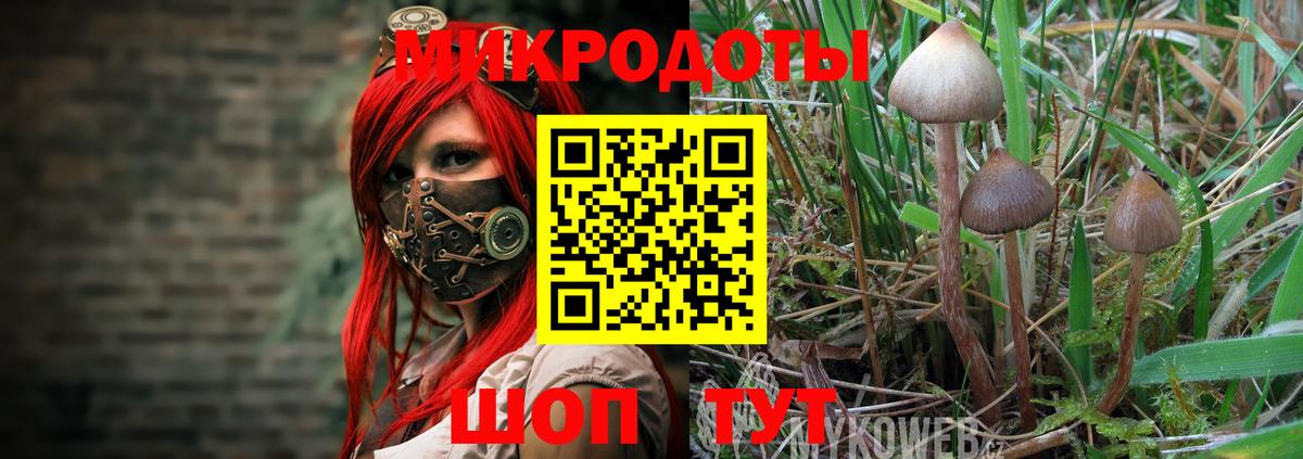Печора  Псилоцибиновые грибы ЛСД  Вход с VPN 